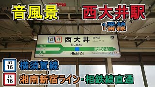 【音風景】西大井駅1番線＜横須賀線・湘南新宿ライン・相鉄線直通[南行]＞(2023.10.7)※風切り音あり・一部遅れあり【駅環境音】