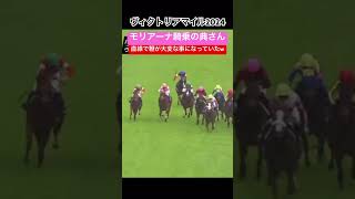 直線で鞭がこんがらがってしまうw #競馬 #ヴィクトリアマイル2024 #横山典弘