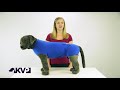 kvp recova shirt™ alternative to e collar