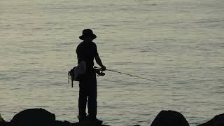 新潟で人気の釣り場情報(Niigata)磯部の浜 港南公園 人気の釣りスポット