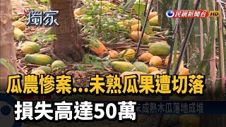 瓜農慘案...未熟瓜果遭切落 損失高達50萬－民視新聞