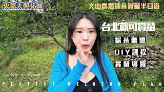 賞螢季來瞜~台北就可以賞螢 採茶體驗 DIY #文山農場賞螢半日遊 2023