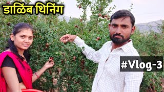 डाळिंब थिनिंग चे फायदे आणि कारण || आमची शेती Vlog-3 || Village life || गावकडची शेती || #शेतीमळा