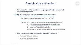 13.Sample Size Estimation
