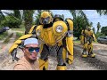 BUMBBLE BEE dari HOLLYWOOD Datang Ke Kenduri Kelantan MALAYSIA (Episode 2)