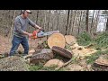 new 550 xp mark ii chainsaw. how fast cut compared to an old 445 husqvarna chainsaw. cutting race