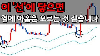 와.. 이건 미쳤습니다. 이'선'에 닿으면 열에 아홉은 오르는 것 같습니다..