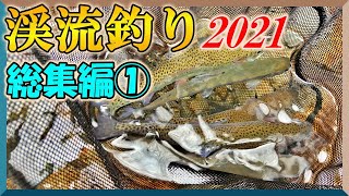 渓流釣り2021！総集編①渓流解禁目前⁉去年のおさらいから！