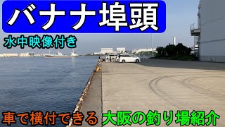 【大阪の釣り】バナナ埠頭・大浜埠頭水路の釣りスポットを水中映像付きで紹介。