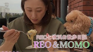 REO&MOMO