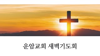 운암교회 새벽기도회 /  2025. 2. 13. (목)