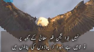 shaheen per poetry allama iqbal poetry best motivation #allama#shaheen#Eagle#khadimhussainrizvi