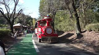 彩ポッポ コバトン号がスタート地点の正門前に向かってます～♪　今日も来てます埼玉県こども動物自然公園　00200