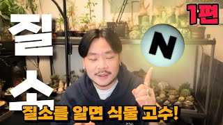 식물의 필수원소 NPK 도장깨기 / 질소 1편 질소란 무엇인가 필수인 이유