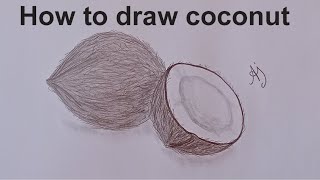 How to Draw a coconut with Pencil Sketch | Easy Step-by-Step Tutorial