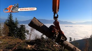 Prozessor bei Traumwetter