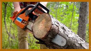 wood cutting sawmill teak wood furniture design ‎|@teamar6154