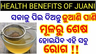 ଜୁଆଣି ର ୧୦ ଟି ଔଷଧୀୟ ଗୁଣ ।‌‌ Juani ra upakarita /Juani benefits/Ajwain Odia/Odia Health Tips