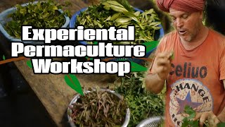 Experiental Permaculture Workshop ❀ Permaculture Tip Of The Day Video