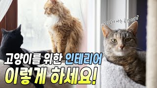 고양이를 위한 실내 인테리어