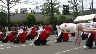 若葉まつり２０１５　躍動「天翔る華」