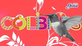 Llama a los colibríes, aquí te decimos cómo- UNAM Global