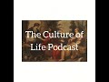 philosophy of mind microdosing ethics u0026 aquinas vs. scotus ft. prof. georg theiner