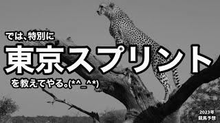 東京スプリント2023 [競馬予想] 4/19(水)大井競馬場