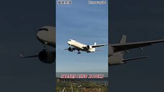 福岡空港 Runway34、JAL325便 A350 JA10XJ 着陸機（iPhone 12 Pro 動画）