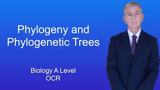 A Level Biology Revision "Phylogeny and Phylogenetic Trees"