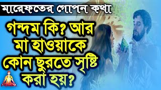 নারীতত্ত্ব | মা হাওয়া (আঃ)-কে সৃষ্টির রহস্য | মারেফতের গোপন কথা | Sufism BD | DM Rahat