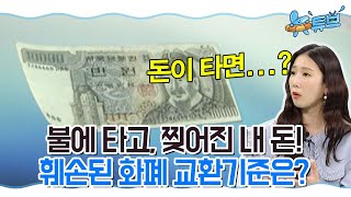 라떼뉴스 맛집 - 화폐의 역사ㅣ 뉴튜브 [12회]  /YTN2