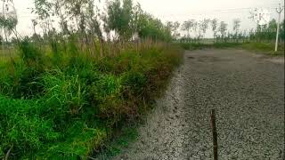 Fish stocking மீன் வளர்ப்பு பண்ணைக் குட்டை