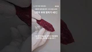 [1++ 한우 한돈 전문브랜드] 1++ 한우 부위 맞히기 4탄