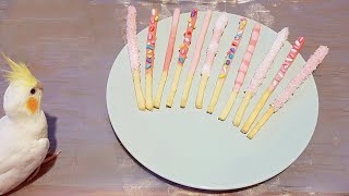 How To Make Pocky Chocolate Sticks From Scratch [ Easy Homemade Pocky ]