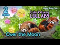 🟢 Grace’s Lullaby ♫ Over the Moon ★ Relaxing Music for Babies to Sleep