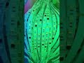 Test an led strip is working - Smart Bright LEDs