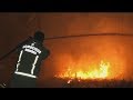 Record number of wildfires burning in Amazon rainforest