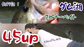 [Bass fishing] [Fishing diary 1] I caught a good-style bass on land at Spinner Bait Takayama Dam.