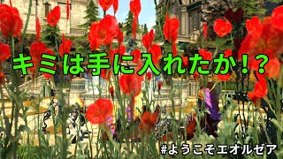 【FFXIV-ようこそエオルゼア】キミは手に入れたか！？