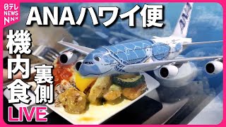 【飛行機ライブ】機体が青色から緑色に変身 / 退役した「ボーイング」部品を活用 / 成田空港で“立ち入り禁止エリア”巡るツアー　などーー飛行機ニュースまとめ （日テレNEWSLIVE）