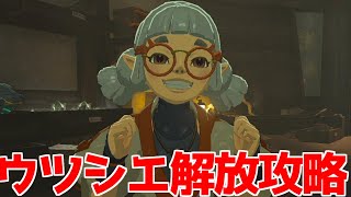 【ゼルダの伝説 ティアキン】ウツシエ解放 地底人をウツシエに！攻略 【ティアーズオブザキングダム】