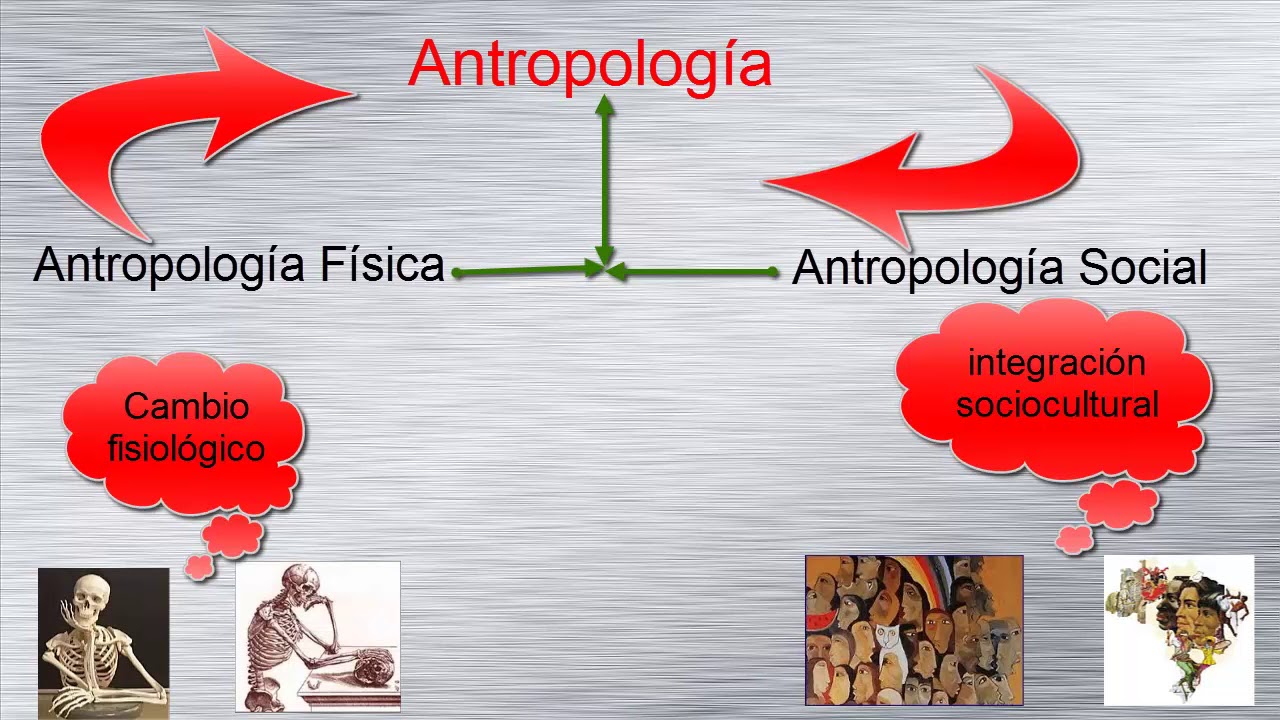 ¿Que Es La Antropología? ¿ Cual Es Su Objeto De Estudio? ¿ Cuales Son ...