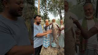 অবিশ্বাস্য হলেও সত্যি। হালদার পোনা মাত্র দেড় থেকে দুই বছরে প্রায় ৭ কেজি!#chittagong