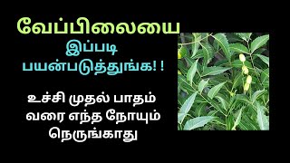 வேப்பிலை பயன்கள்/ Neem leaves benefits in tamil/ Veppilai benefits /nattu maruthuvam