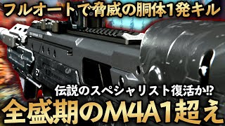 【COD MW】究極的に強い装備が爆誕！使えば最強になれる武器とは！？【COD WARZONE】【Oden】【おでん】【かいざー / Kaiser】