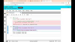 Python Indentation - How to engage with the readings (CS105 at UIUC)