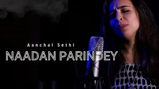 Nadaan Parindey | Aanchal Sethi | Female Cover unplugged |A.R. Rahman