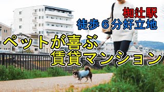 京都市山科区椥辻番所ケ口町／賃貸マンション／インサイトルポ山科椥辻