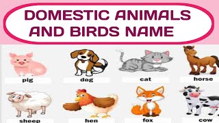 26 DOMESTIC ANIMALS AND BIRDS NAME IN ENGLISH WITH PICTURES |ANIMALS AND BIRDS VIDEO | PET SPELLINGS